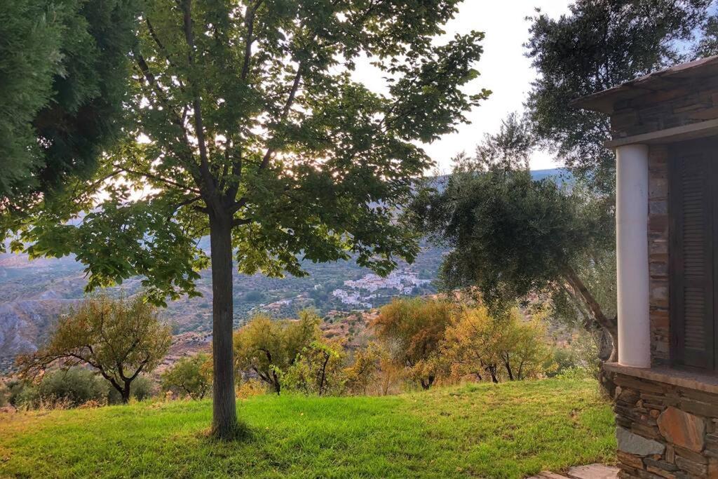 Casa El Higueral Villa Mecina Alfahar Dış mekan fotoğraf