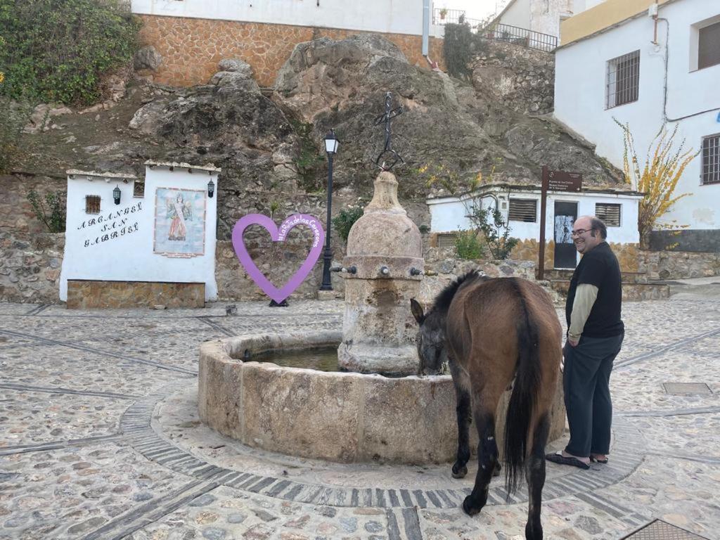 Casa El Higueral Villa Mecina Alfahar Dış mekan fotoğraf