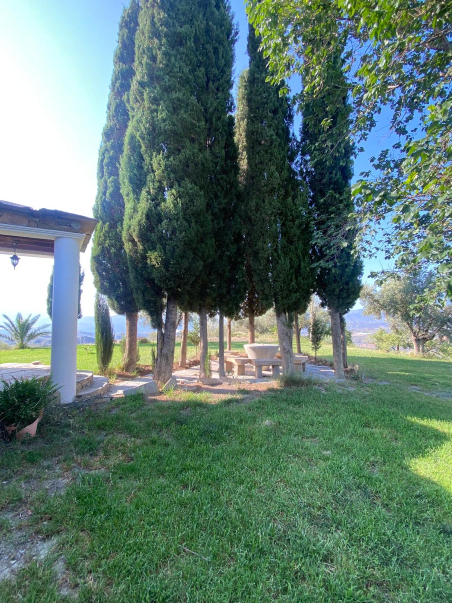Casa El Higueral Villa Mecina Alfahar Dış mekan fotoğraf